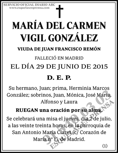 María del Carmen Vigil González